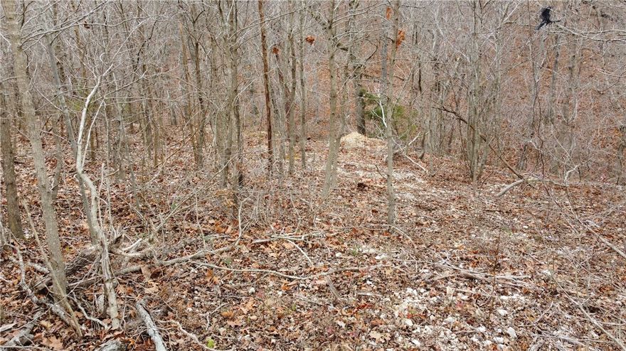 Great building lot with easy access to the Back 40, easy access to Lake Ann Park and Metfield Rec Center.  Build to suit. Perc test and Survey complete.