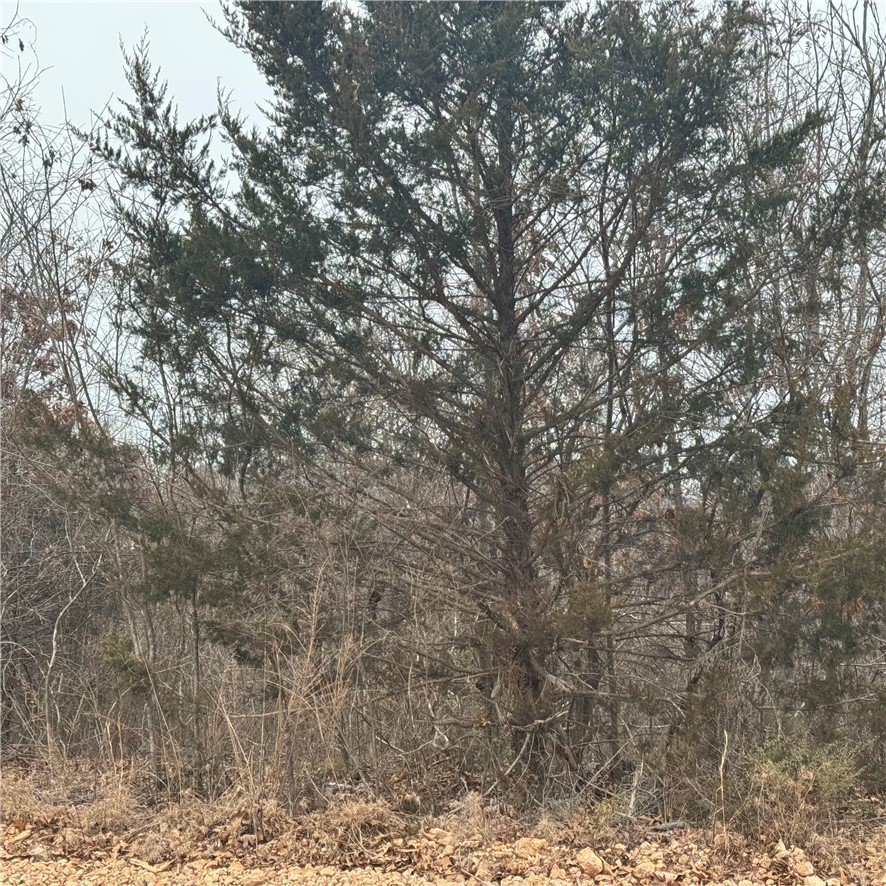 Kistlers Tracts 1 Rurban - Land