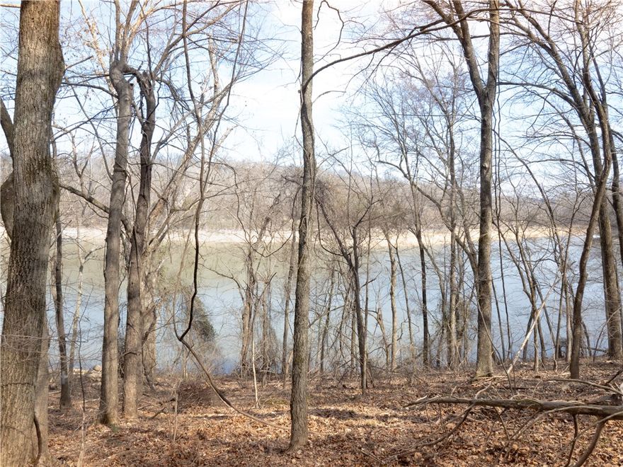 Can you imagine sitting on your deck listening to the birds call or walking to the shore to fish or kayak? This 3.23 acre parcel near Blue Spring Boat Ramp is ready for you to build your lake living dream. Tucked away in a quiet area of homes where Brush Creek merges with Beaver Lake you can relax and enjoy the beauty of NW Arkansas away from the hustle and bustle of town while being close enough to enjoy local activities and restaurants. Springdale is about 10 minutes away and Shiloh Square is under 20 minutes.