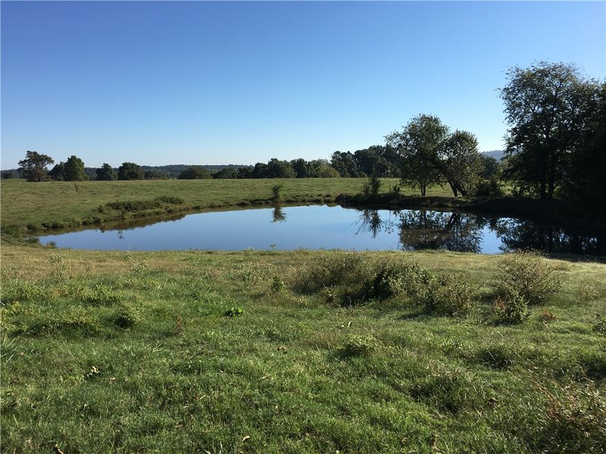 A rarity to find 402 intact acres! Has rolling hills, views, 8 ponds, 6 separate fenced parcels, all fenced.  Brushcreek is an "all year" creek; I've been told that other farmers were allowed to come here to pump water from this creek.  good for cattle, baling hay, some hardwoods. Exceptional views to build your home. There is an old log cabin that has electric and well water! It's a 5 minute drive and 3.5 miles from Goshen.
