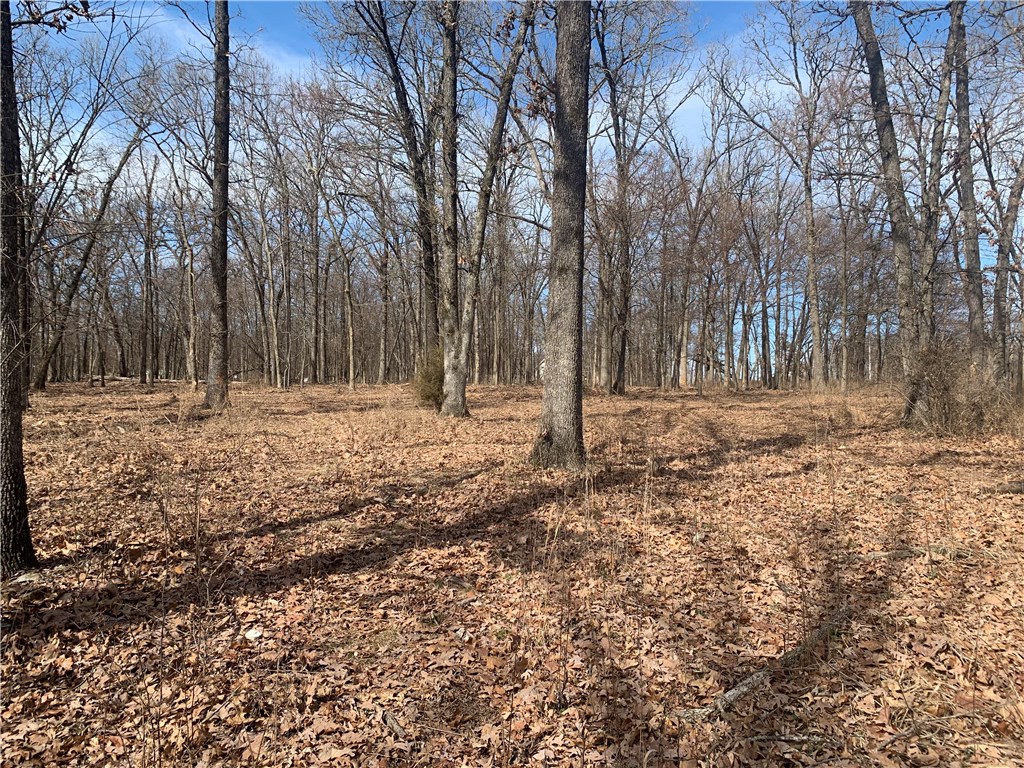 More Pictures Coming! Build the home of your dreams on this beautiful piece of land! There's plenty of space for that shop you've always wanted too! This wooded property has the feel of seclusion but still no far from the convenience of town. Land is level at the front. Several great building sites. The back drops down giving a gorgeous view. Property goes all the way to Flint Creek. Seller will consider subdivide on a case-by-case basis.
