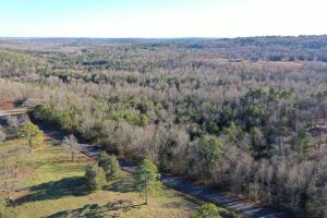 Back on market! through no fault of the property.See Survey in documents section 27 Acres in the country yet only 12 min to Russellville. There are several excellent building spots has access road onto the property.