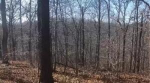 Beautiful Acreage near Beaver Lake.20 Minutes from downtown Rogers.Street ends at the lake.