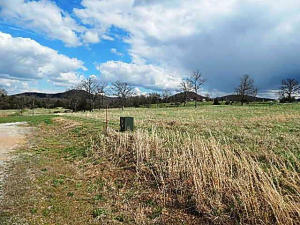 Nice 1.4 Acre Building Lot with city water, underground electric, light restrictions, country feel.