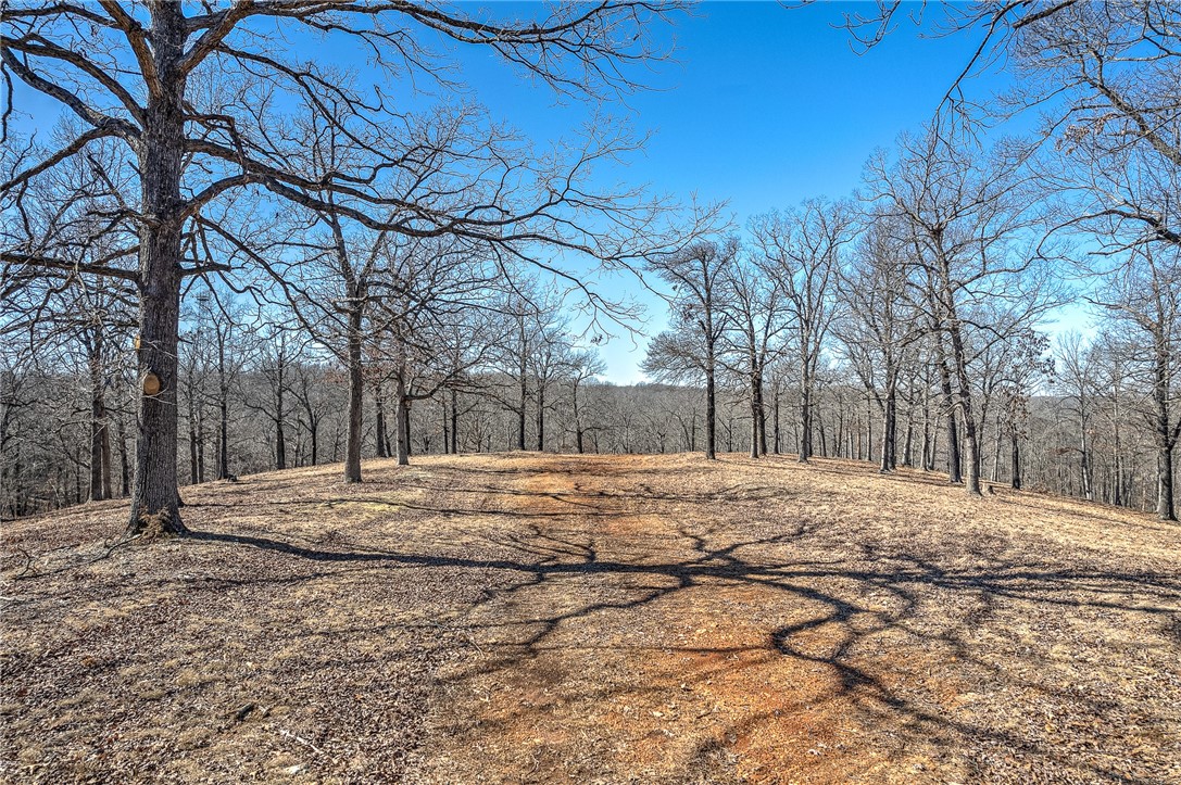 Have you been looking for that one of a kind tract of land to develop or to just have a little extra space for yourself? This 17 acres could be just that for you. Within 3 miles of historic downtown Rogers, AR., 1.5 miles to Prairie Creek Marina for swimming, boating, fishing, and camping on beautiful Beaver Lake. City water, natural gas is at the street. Would be perfect location for single family homes or duplexes. All this on paved road. Lots of areas for hiking, walking. Hobbs State Park is 10 miles away, Eureka Springs, AR is 45 minutes away for dining optional dining shopping experiences. Property is available to drive by and check it out yourself.