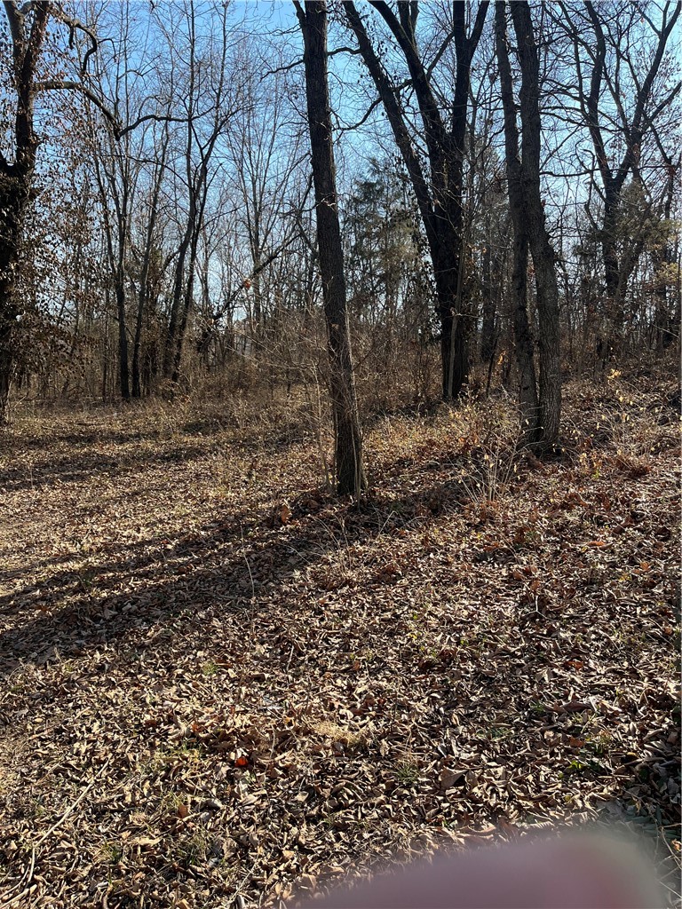 Berryville Outlots - Land