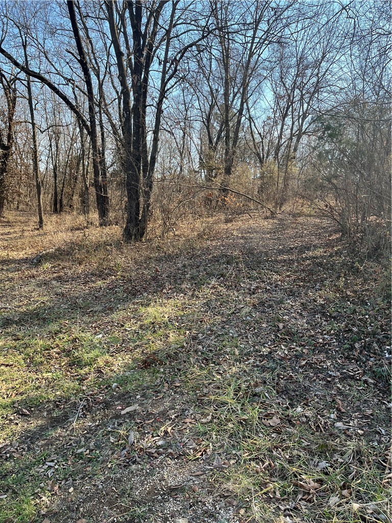 Berryville Outlots - Land