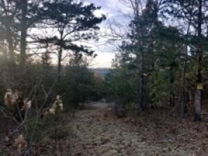 What a beautiful piece of land and picturesque views. Call this 29.83 acres in the Ozarks your own. Perfect to hunt and close to three lakes for the fishing., but camping is primo on this property. There are two parcels that have been combined. Beautifully located; 30 min to Branson, MO. for shopping, shows and all of the fun. Good school district. Storage building on site. Restricted; all dwellings shall contain roof area of 1,000 sq ft. and at least 400 sq ft of covered porch, garage or carport. No trailers or mobile homes. Quite the place to build and make it your homestead. **Please note taxes for both parcels are $340.75 approx annually.