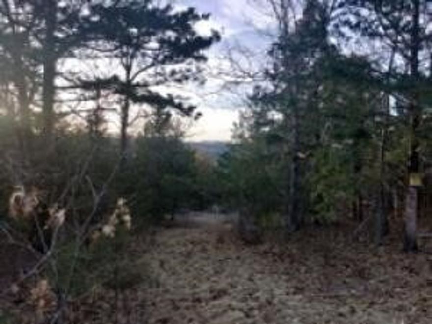 What a beautiful piece of land and picturesque views. Call this 29.83 acres in the Ozarks your own. Perfect to hunt and close to three lakes for the fishing., but camping is primo on this property. There are two parcels that have been combined. Beautifully located; 30 min to Branson, MO. for shopping, shows and all of the fun. Good school district. Storage building on site.  Restricted; all dwellings shall contain roof area of 1,000 sq ft. and at least 400 sq ft of covered porch, garage or carport. No trailers or mobile homes. Quite the place to build and make it your homestead. **Please note taxes for both parcels are $340.75 approx annually.