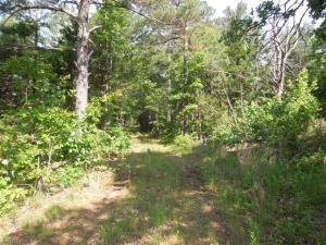 Great place just South of Jasper with highway frontage, easy access, small spring,lots of wildlife. Building spots. Water and electricity on property. Underground utilities, and septic is already in. There's a map/drawing of land under documents..it is not an actual survey.