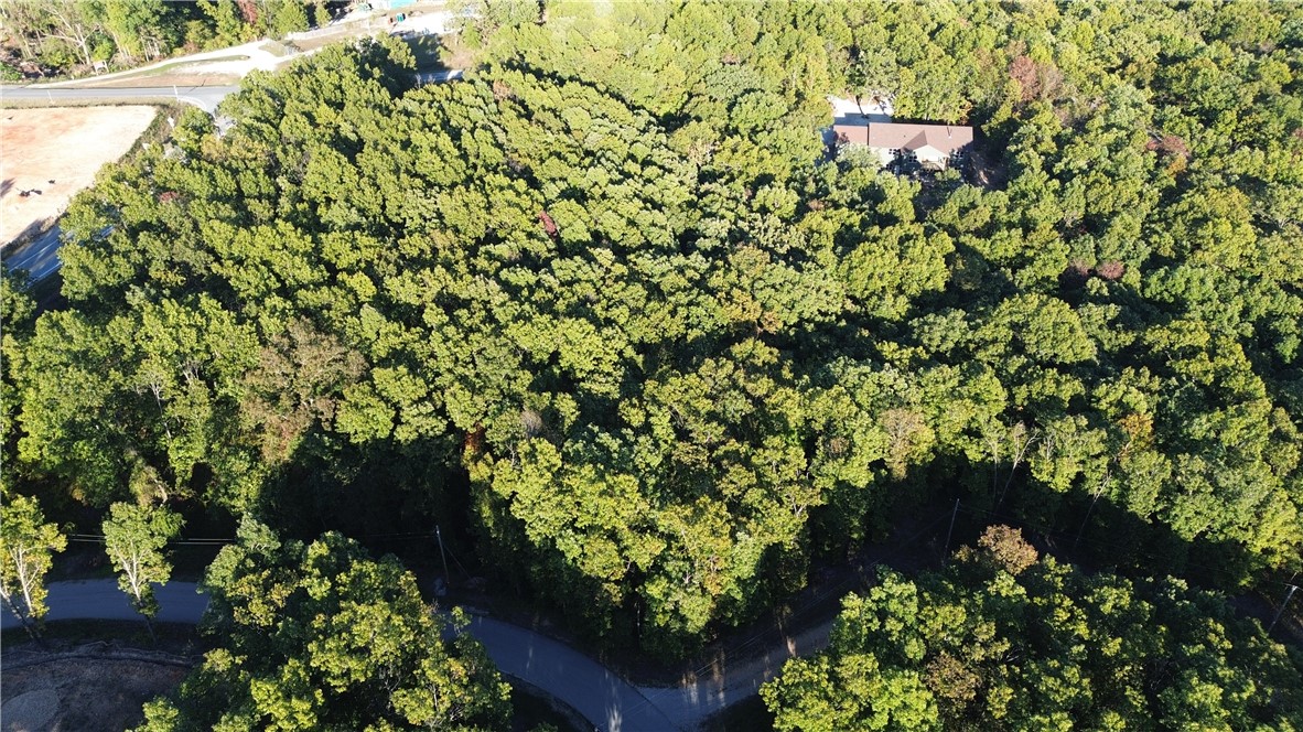 Tucked away in the trees, this peaceful and quiet wooded lot offers the perfect blend of privacy, recreation, and convenience. Enjoy quick access to the Back 40 trails for hiking and biking, or spend your weekends golfing at nearby Metfield or other Bella Vista courses. Located just 5 minutes from Pea Ridge and 10 minutes from the Metfield Clubhouse, this property is ideally positioned for both relaxation and adventure. Whether youāre building your dream home or a weekend retreat, this serene setting keeps you close to nature and all the best of the Ozarks.