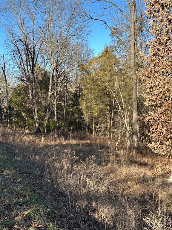 Dickenshire Sub Bvv - Land