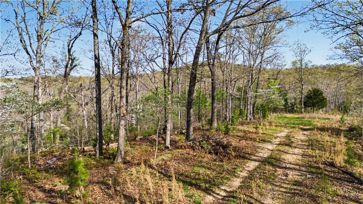 Posy Mountain Ranch Unit 11 Rurban - Land