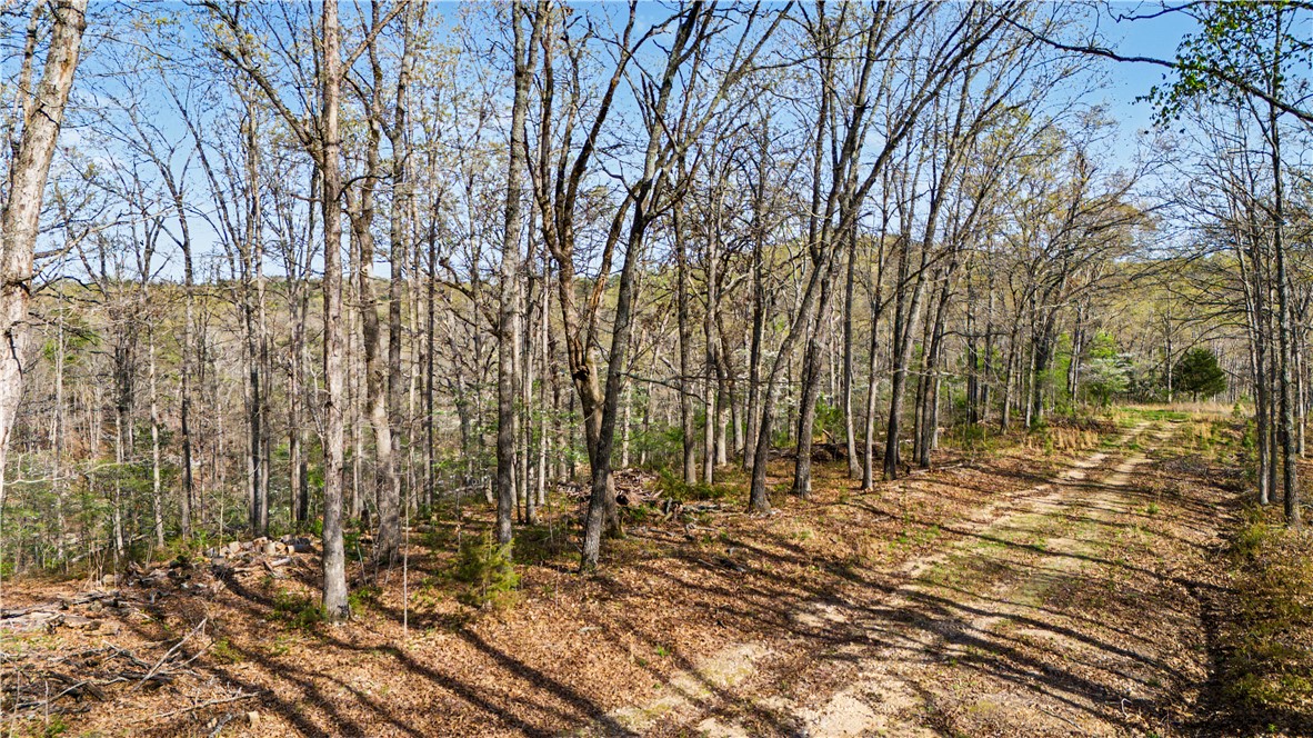 Posy Mountain Ranch Unit 11 Rurban - Land