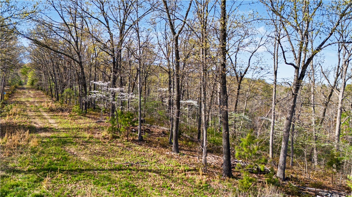 Posy Mountain Ranch Unit 11 Rurban - Land