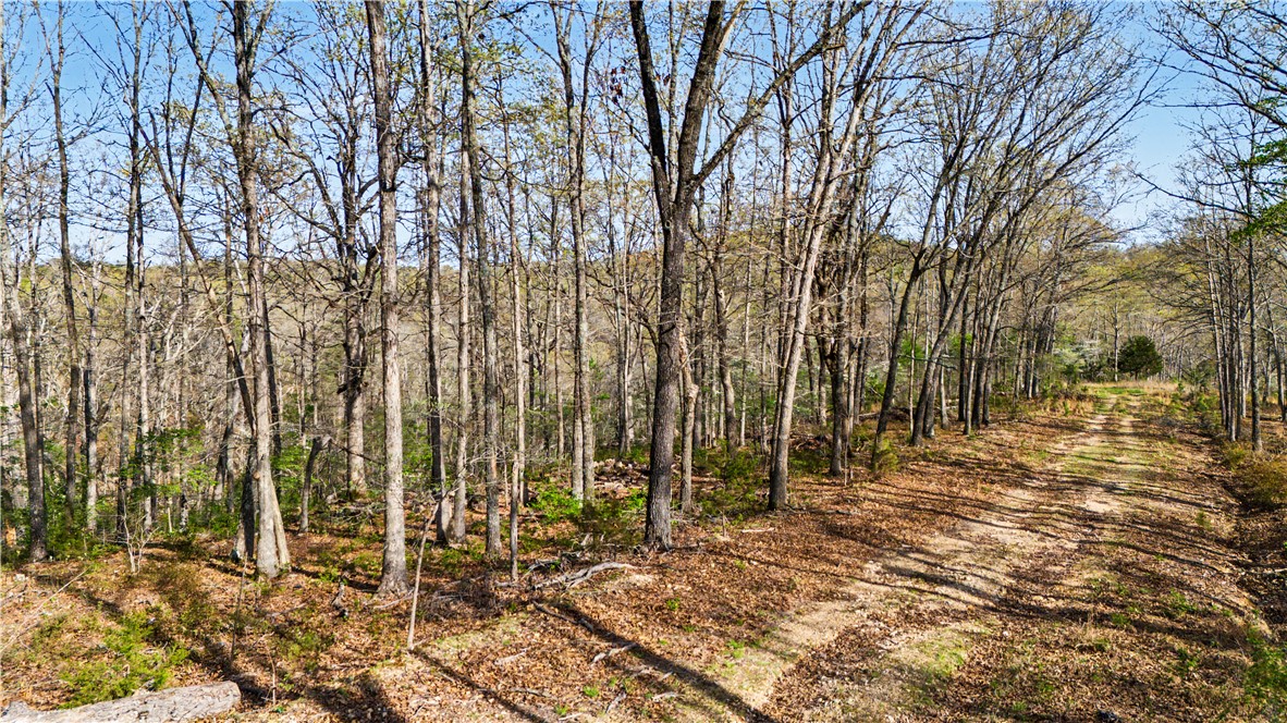 Posy Mountain Ranch Unit 11 Rurban - Land