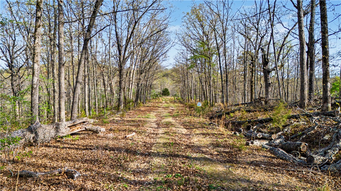 Posy Mountain Ranch Unit 11 Rurban - Land