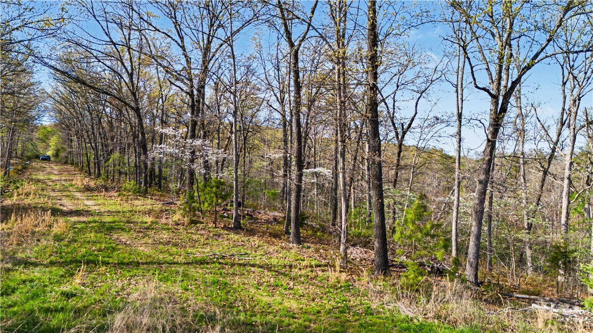 Posy Mountain Ranch Unit 11 Rurban - Land