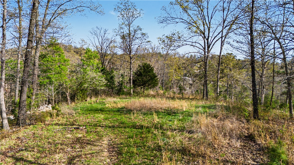 Posy Mountain Ranch Unit 11 Rurban - Land