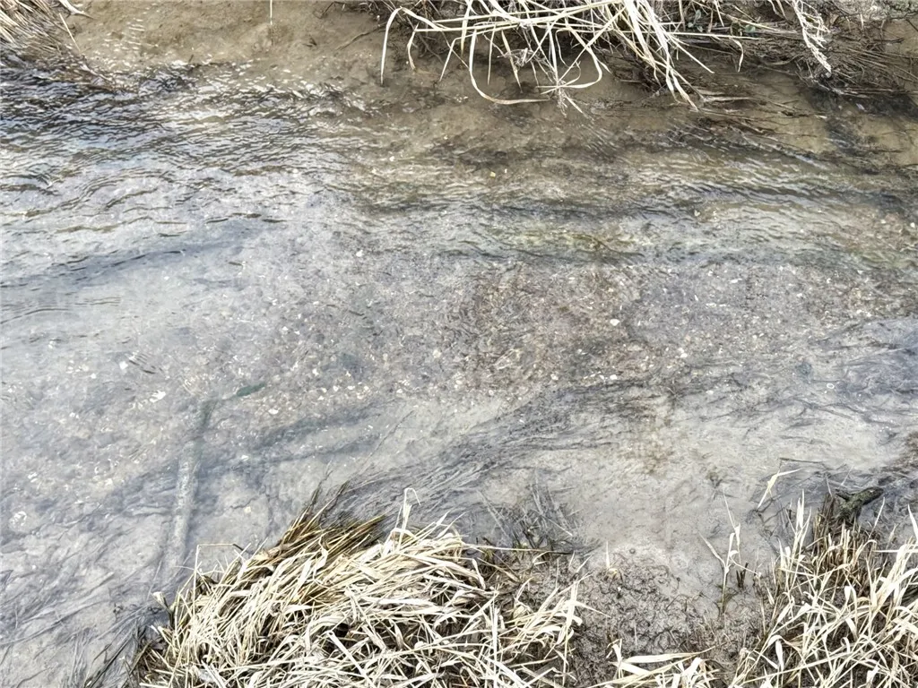 Gravette, Arkansas 72736, United States, ,Land,Active,22357