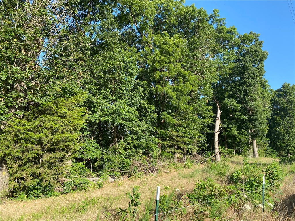 Beautiful spot to build your dream home. Come home to a picturesque view overlooking Rocky Dell Hollow with easy access to main roads. Electric and water at the street.