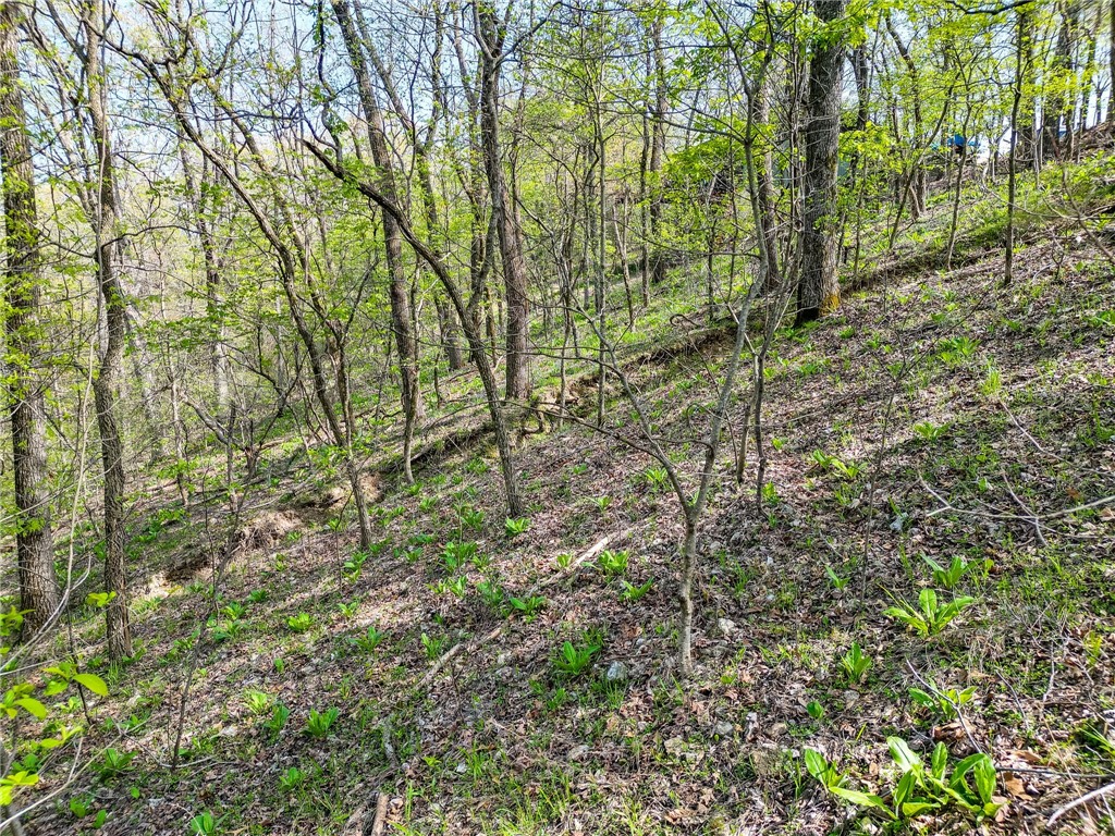 Lost Bridge Village 4 - Land