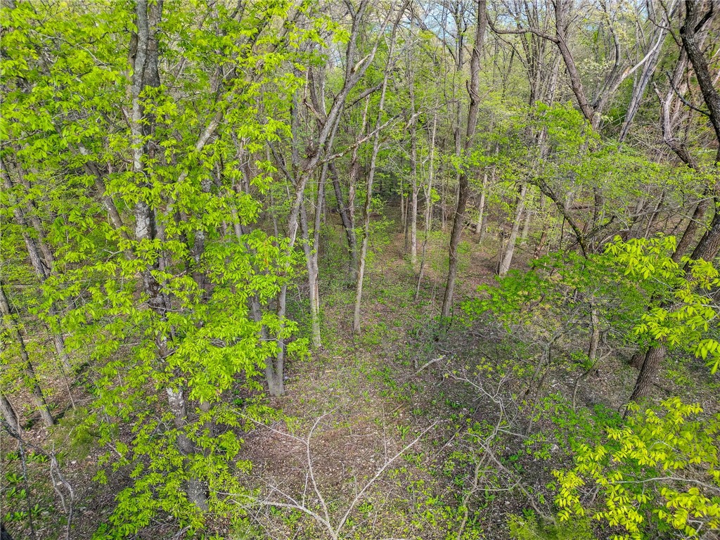Lost Bridge Village 4 - Land
