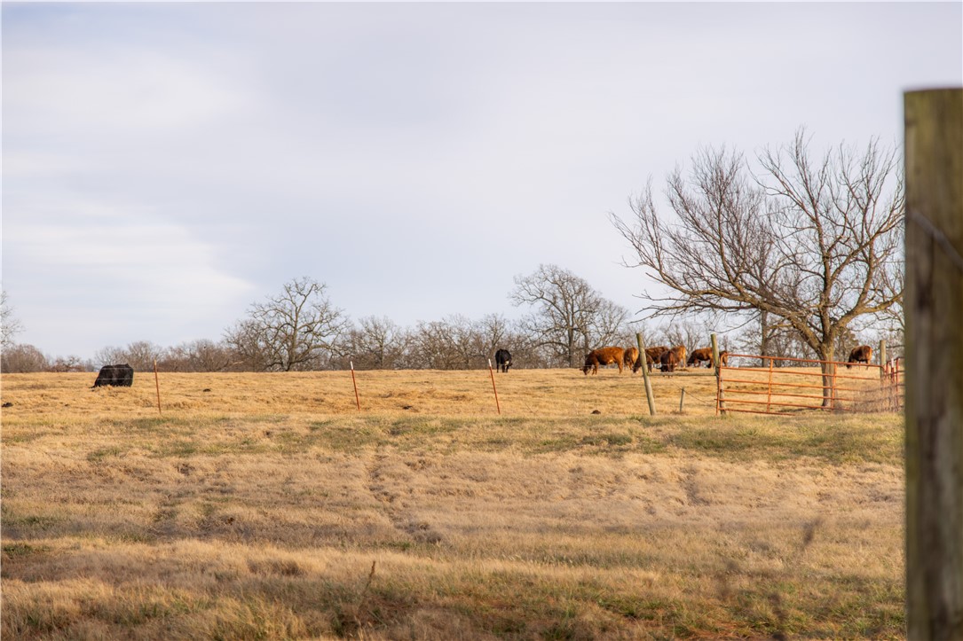 25-17-33-rural - Residential