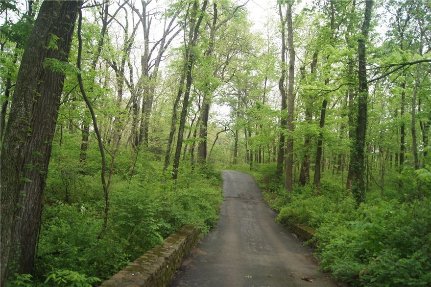 Ten wooded acres divided into two tracts.  Keep it all or build on five and sell five.  Ideally located on  2nd street with Pea Ridge to the north and Rogers to the south.  Kayla Dr is a private black top road leading to the property.  Multiple building sites among large mature trees, peaceful valley and the epitome of quite enjoyment close to town(s).  Not many tracts like this.