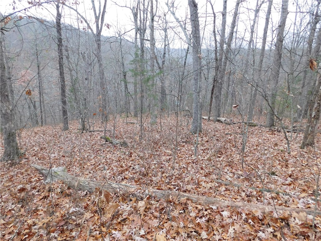 Land with great views in the Buffalo National River Region in the Ozark Mountains of beautiful Newton County, Arkansas. This 3.5 acre is only 6 miles south of Jasper. Perfect for building a house, rental cabin or parking your RV or camper. County road frontage on three sides. Water and electric is available. Near the Ozark National Forest. This area provides outstanding recreational opportunities of the Ozark National Forest and Buffalo National River Region. This central location is convenient to the best swimming holes, hiking, canoeing, wildlife photography and fishing. Other nearby outdoor activities include horseback riding, mountaineering, caving and scenic driving.