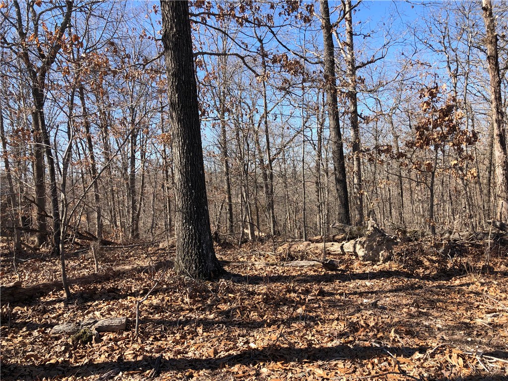 This beautiful Bella Vista lot is wooded and gently sloped. Summit School Mountain Biking Trail is only .04 miles. It is an easy bike ride to the entrance. Nice neighborhood, perfect setting for your new home. It is located between Lake Ann and Lake Brittany.
