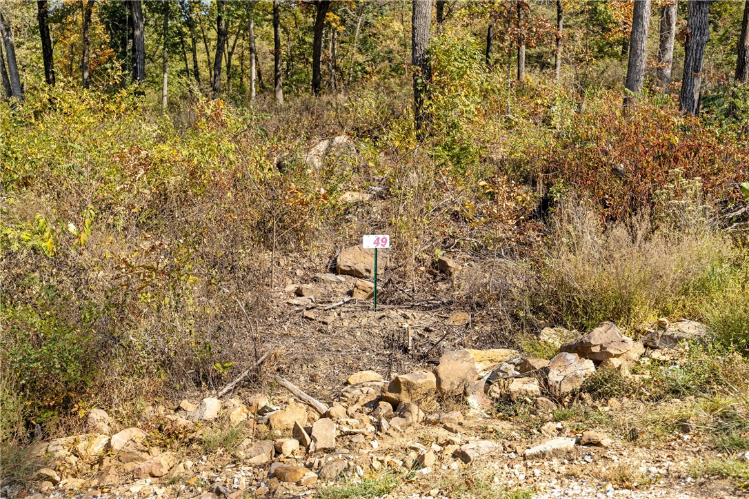 Lot 49 is 1.10 m/l acres and is nearby Kissing Rock Trail. This lot has very unique boulders and has westerly mountain views! Round Mountain Estates is a new, master planned, exclusive subdivision located 10 minutes west of Harrison, AR. The following utilities are already on site making the building process much easier for you; natural gas, fiber optic internet, electric, public water, and sewer. Interested in your family seeing the star lights instead of those city lights? RME is what you've been searching for! RME features a 350 +/- acre common area for its residents that includes a stocked fishing pond, Kissing Rock trail, natural springs to explore, Baby Canyon trail, incredible bluff lines to climb, and views for hundreds of miles that will not only take your breath away but will forever be etched in your memory! Neighborhood amenities coming soon.