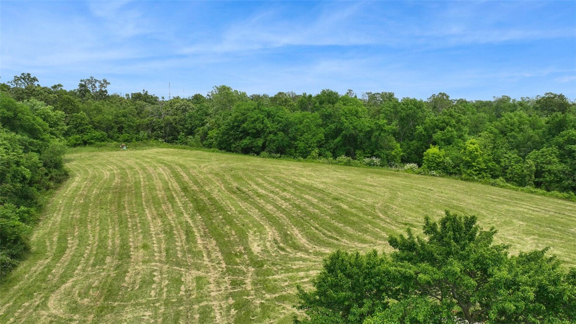 Discover 29 beautiful acres just outside Gravette—ideal for building your dream home or creating a private retreat. The property features approximately 18 acres of mature timber and 11 acres of mostly cleared pasture, along with a year round spring perfect for outdoor enjoyment.
Electricity and high-speed internet are available at the road. Access requires four-wheel drive, offering the privacy and seclusion many buyers are seeking. The seller is willing to subdivide the property, making it a flexible opportunity for various needs.
Don’t miss your chance to own a slice of Northwest Arkansas countryside!