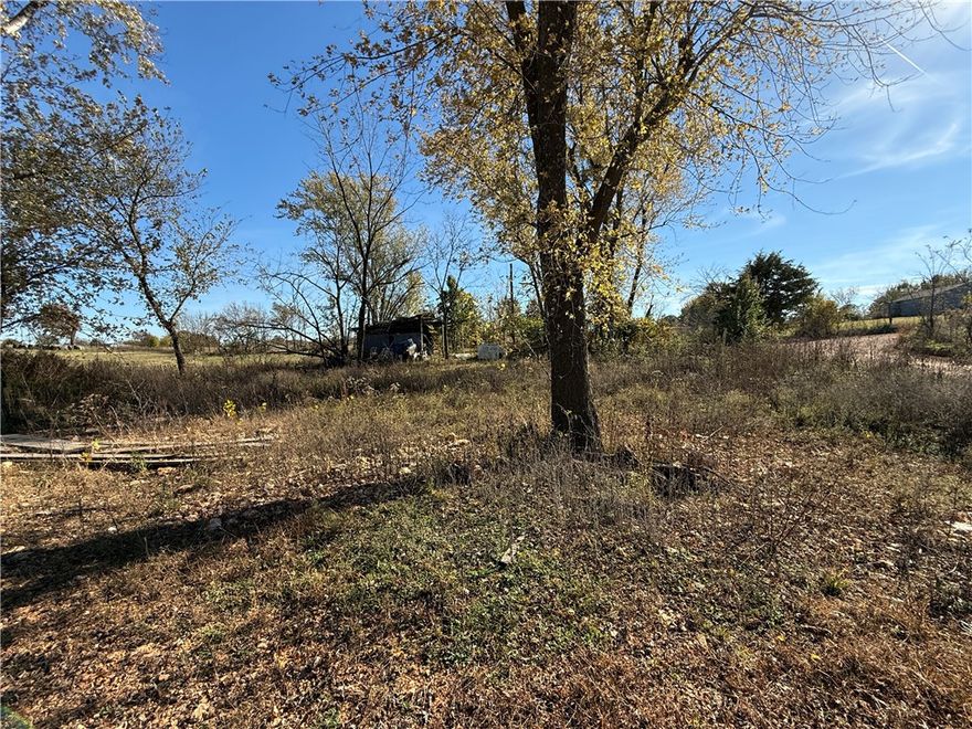 Great opportunity to own a 0.65-acre lot just outside Bentonville city limits! Conveniently located about half a mile from Hwy 264, only 9 minutes to XNA Airport, and 15 minutes to Pinnacle Hills Promenade. This property gives you options - build a home, put up a shop, create a barndominium, or park your RV and enjoy some space. Electric is available at the street, and there’s already a septic system installed for a 1-bedroom. A well will be needed for water. Commercial use could be possible if approved by the county. Peaceful setting with easy access to town—perfect for anyone looking for a little elbow room while staying close to everything Northwest Arkansas has to offer!