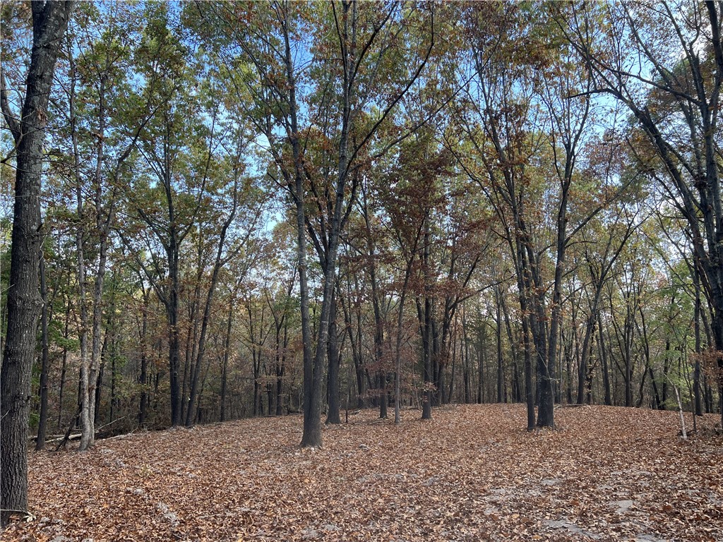 The property features a level secluded building site with lots of hardwood trees, no property restrictions, and electric is available. Call today to schedule a showing.
