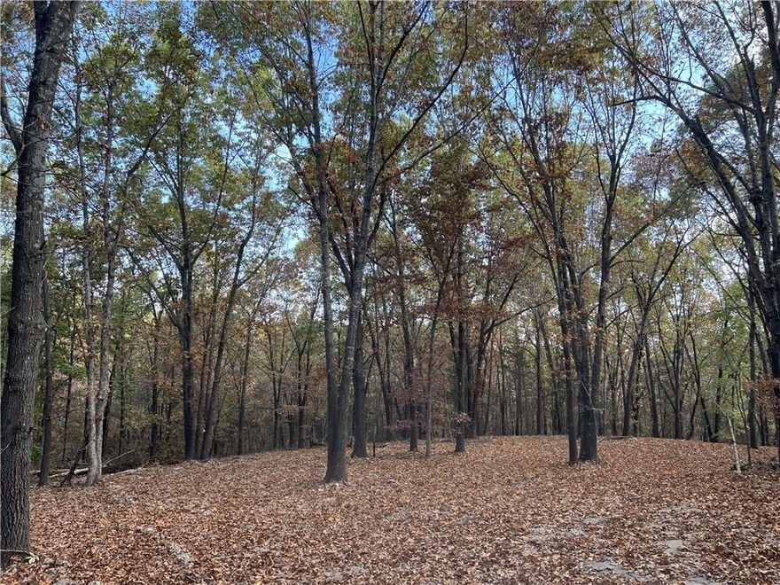 The property features a level secluded building site with lots of hardwood trees, no property restrictions, and electric is available. Call today to schedule a showing.