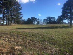 Gorgeous setting for your dream home in the middle of wine country, just north of St. Mary's Catholic Church in Altus. 1.00 acre m/l, all utilities at street.