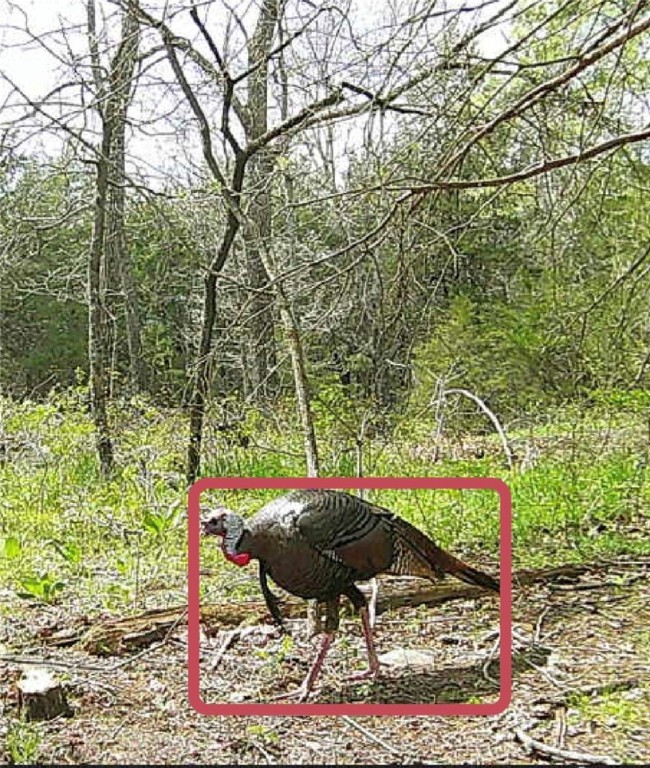 Hickory Hills - Residential