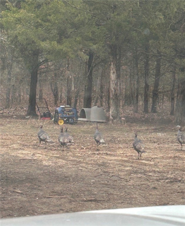 Hickory Hills - Residential