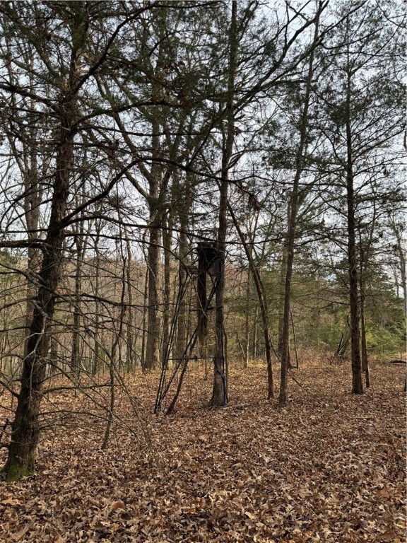 Hickory Hills - Residential