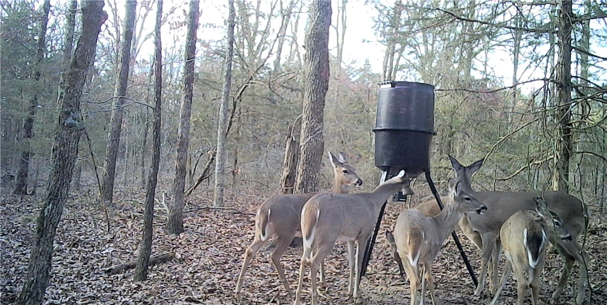 Hickory Hills - Residential