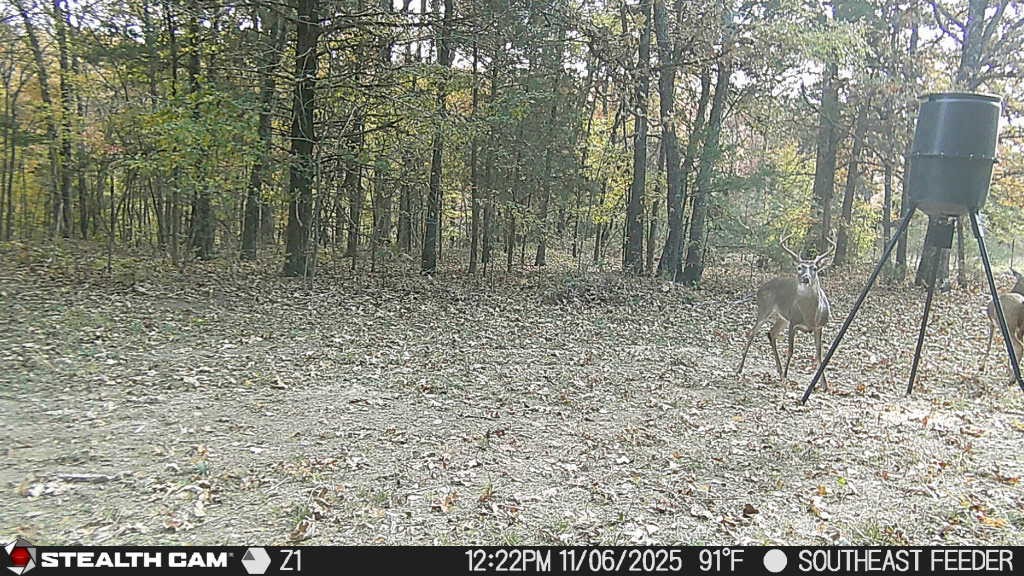 Hickory Hills - Residential