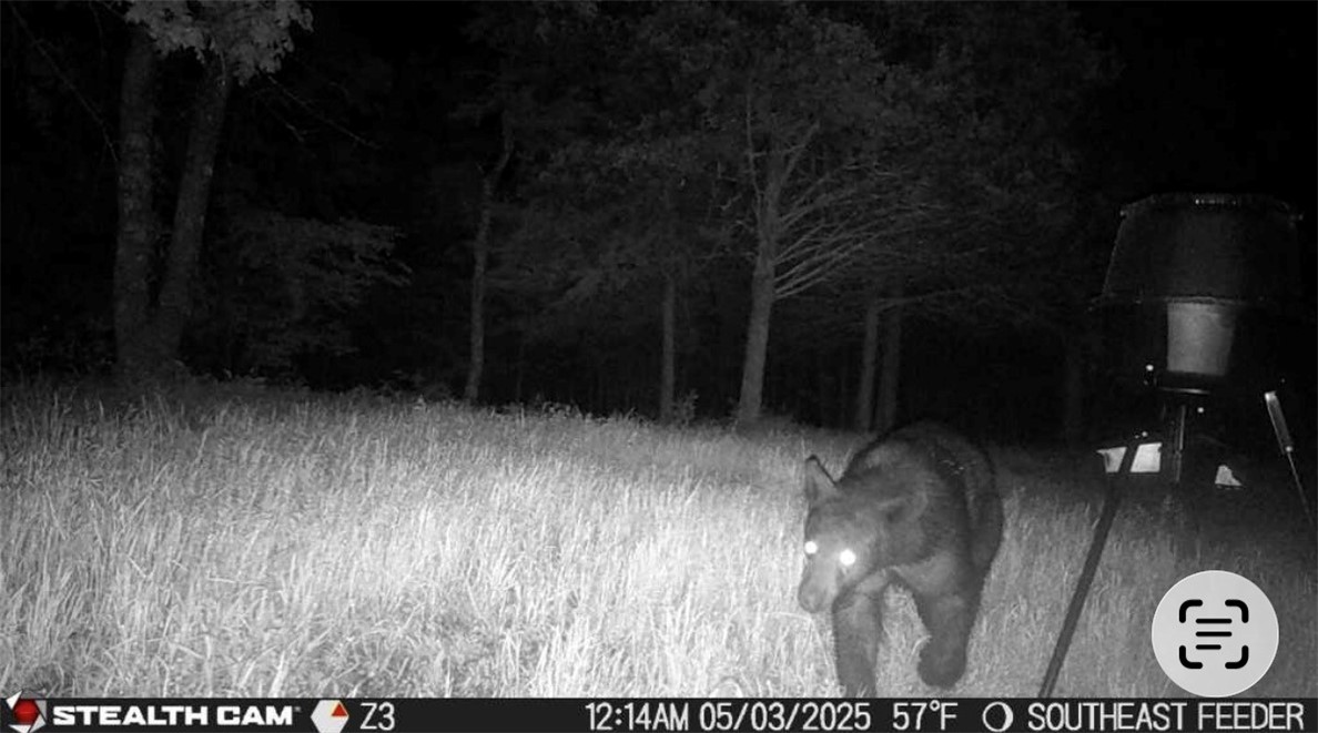 Hickory Hills - Residential