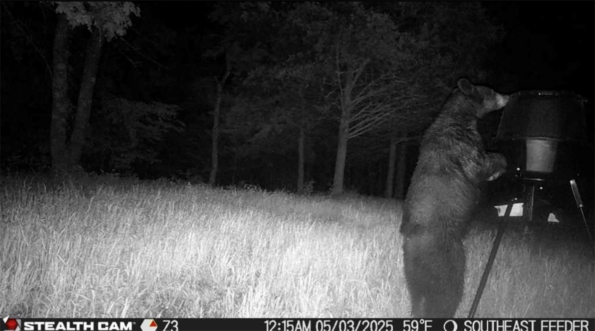 Hickory Hills - Residential