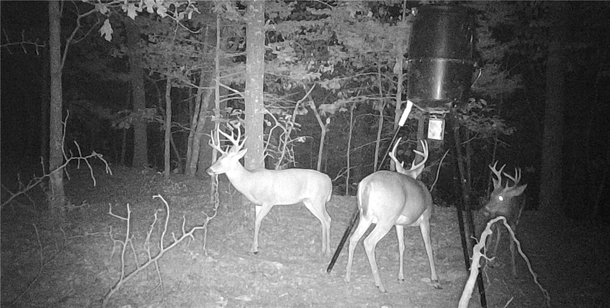 Hickory Hills - Residential