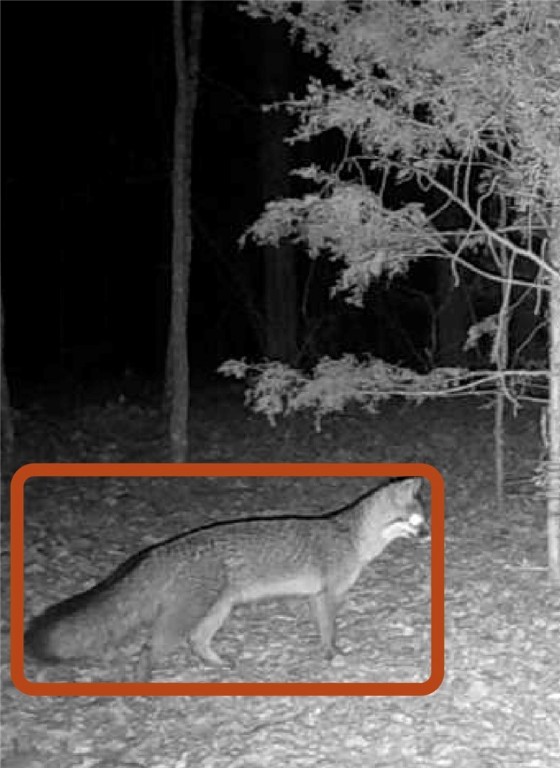 Hickory Hills - Residential