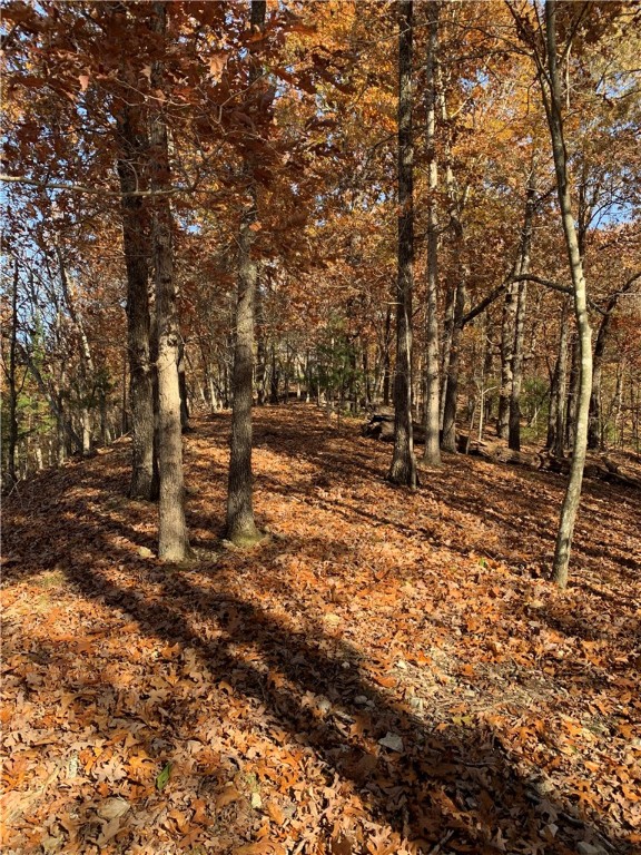 Bar-Zel Point - Land