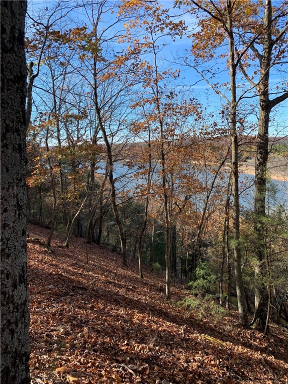 Bar-Zel Point - Land