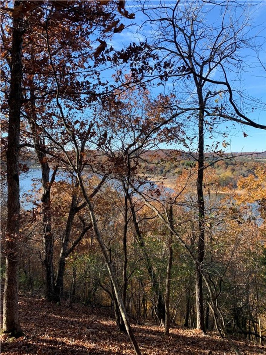 LAKE FRONT view from scenic bluff! The ridge runs 365 ft with several potential building sites for long lake views to the North & West. The 4.32 acres is located in the Bar-Zel Point subdivision approximately 20 miles from downtown Rogers, on paved roads winding through the Hobbs State Park-Conservation Area & Camp War Eagle. Two minutes down the road to the end of the point is a community park with paved boat ramp for easy lake access. Bring your vision to live and work in the serene beauty of the Ozarks. (with Ozarks Go access!) Enter property at first real estate sign near green electric transformer to walk straight back to lake view ridge.