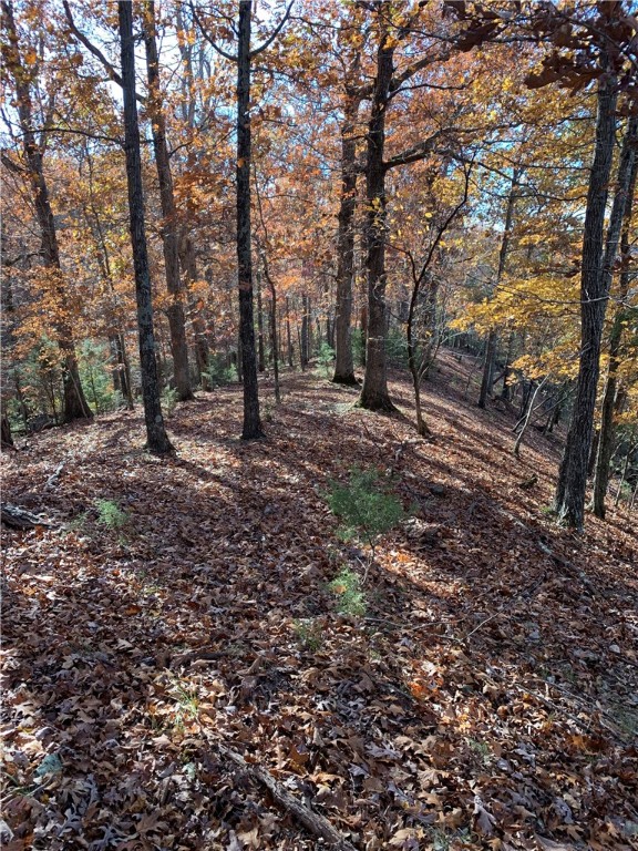 Bar-Zel Point - Land